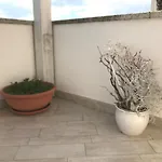 Via Alloro 44 公寓 奧爾比亞