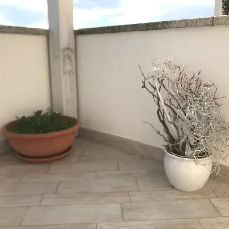 Via Alloro 44 Apartment Olbia